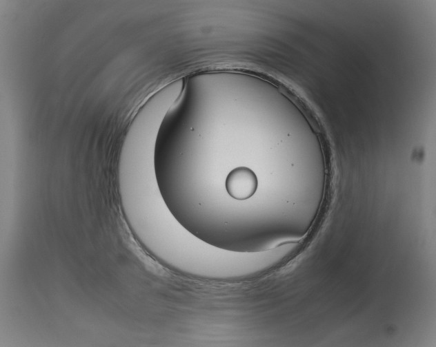X0000112730897200909171124