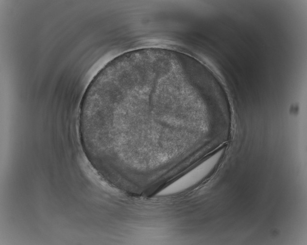 X0000112730899200909171124