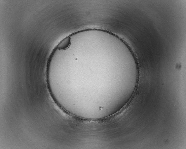 X0000112730902200909171124