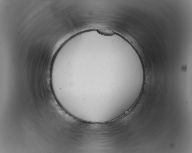 X0000112730904200909171124