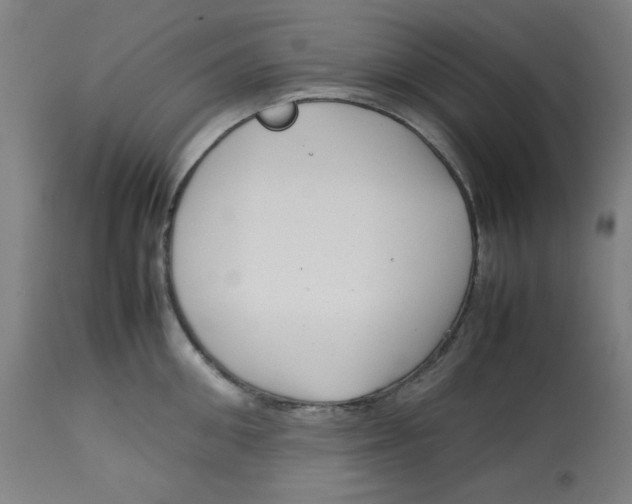 X0000112730906200909171124