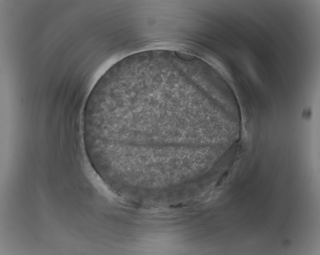 X0000112730907200909171124