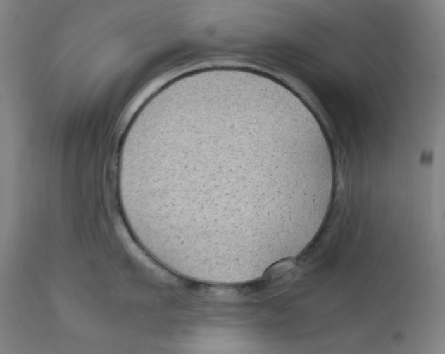 X0000112730911200909171124