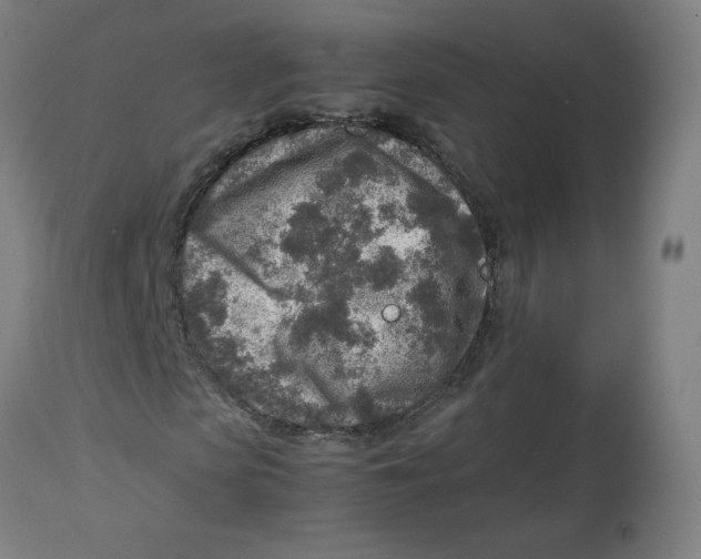 X0000112730913200909171124