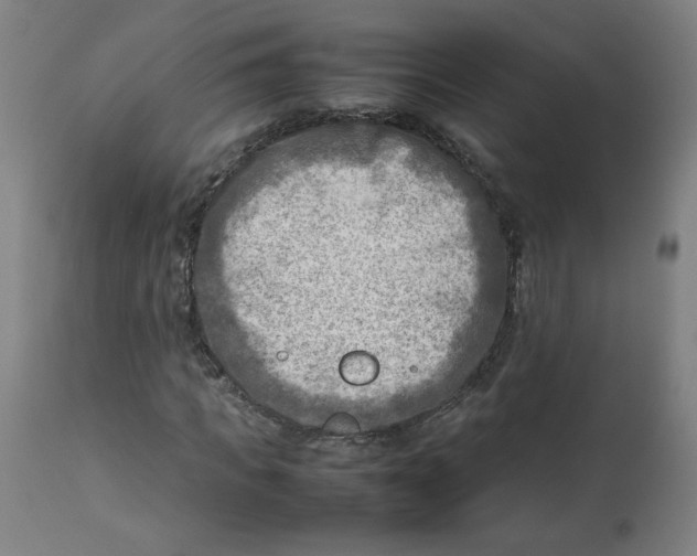 X0000112730917200909171124