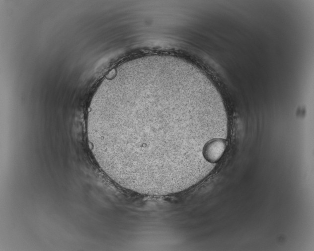 X0000112730918200909171124