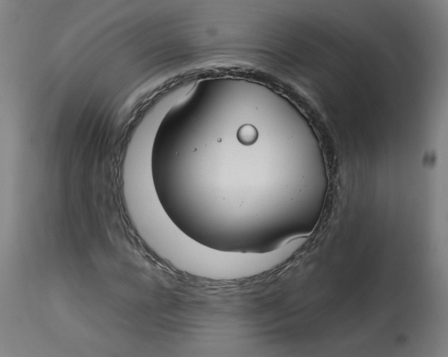 X0000112730920200909171124