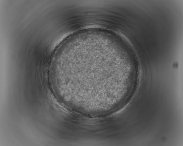X0000112730921200909171124