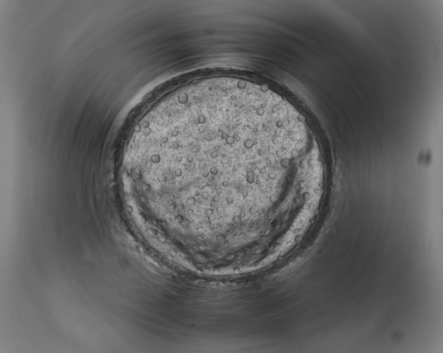 X0000112730923200909171124