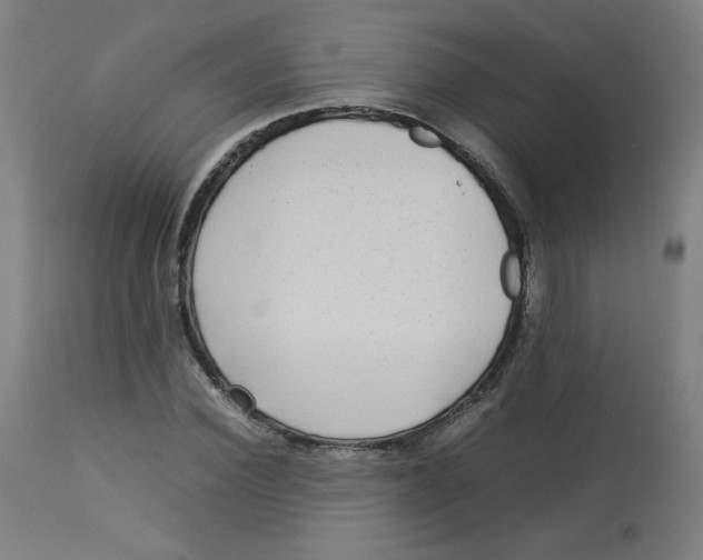 X0000112730924200909171124
