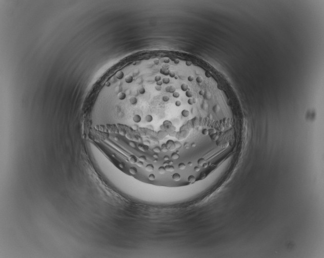 X0000112730925200909171124