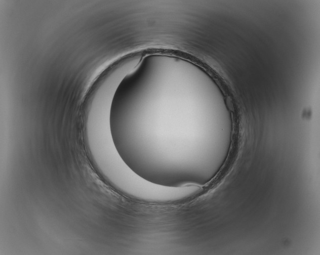 X0000112730926200909171124