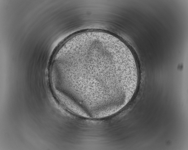 X0000112730928200909171124