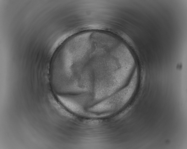 X0000112730930200909171124