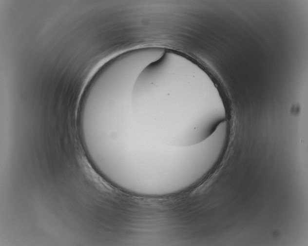 X0000112730932200909171124
