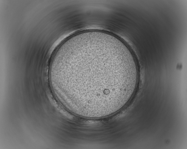 X0000112730933200909171124