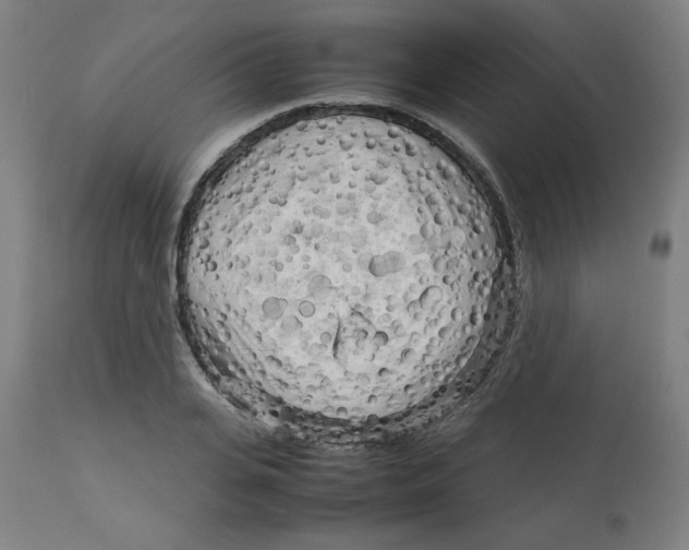 X0000112730935200909171124