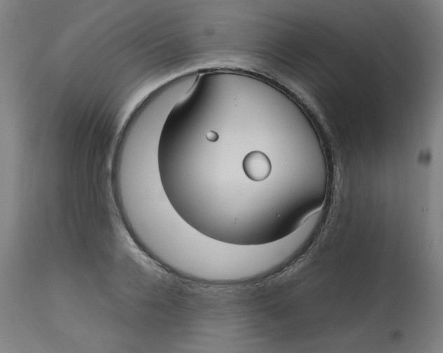 X0000112730936200909171124