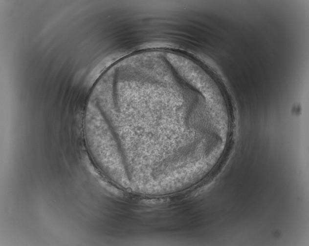 X0000112730937200909171124