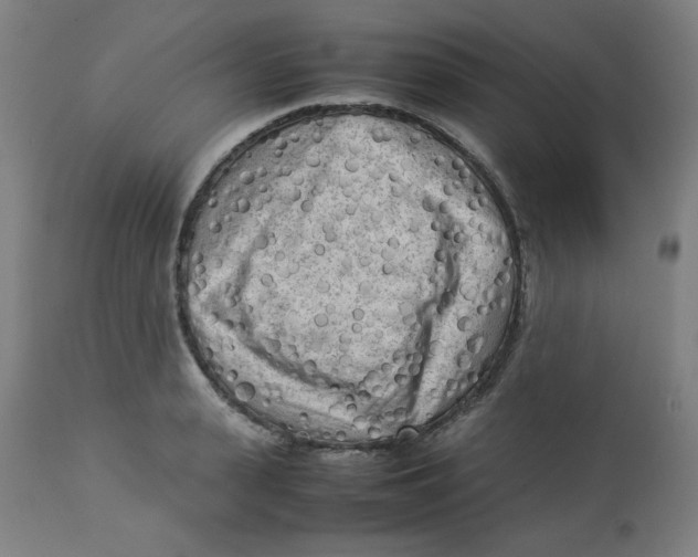 X0000112730943200909171124