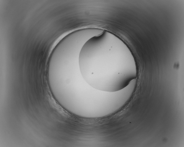 X0000112730948200909171124