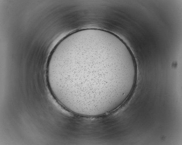 X0000112730949200909171124