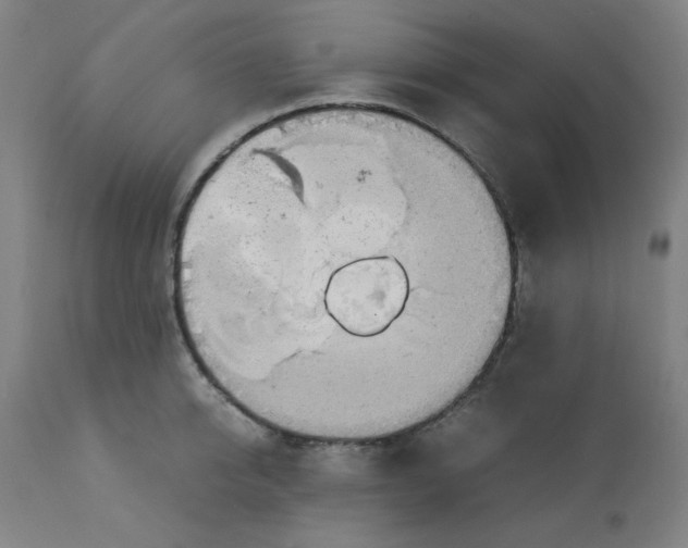 X0000112730950200909171124