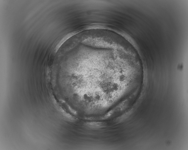 X0000112730953200909171124