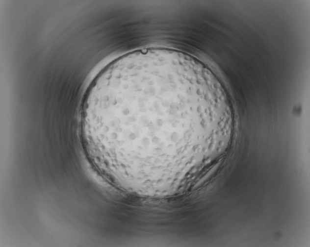 X0000112730955200909171124