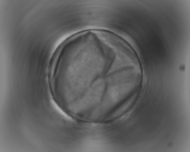 X0000112730958200909171124