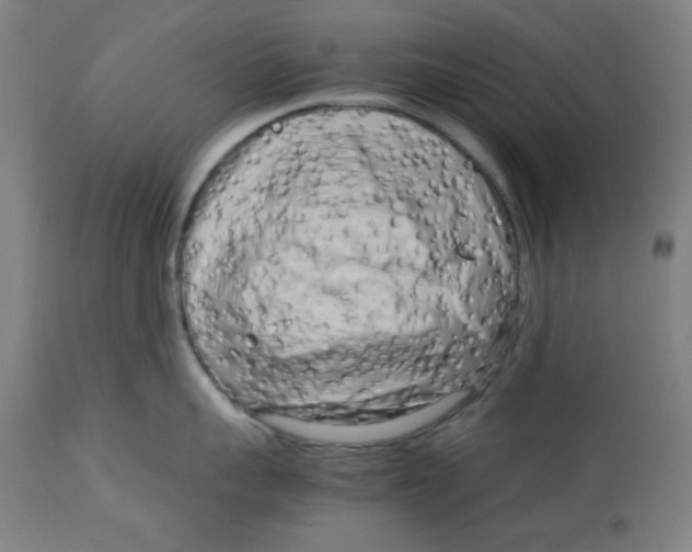 X0000112730959200909171124