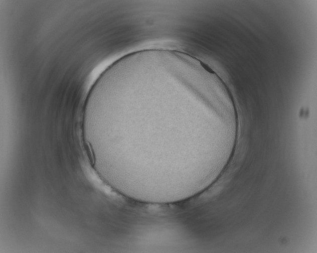 X0000112730960200909171124