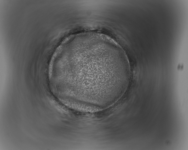 X0000112730961200909171124