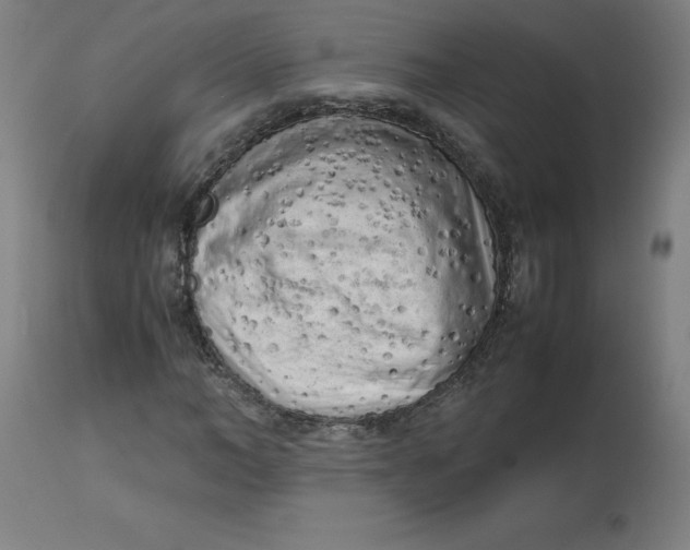 X0000112730966200909171123