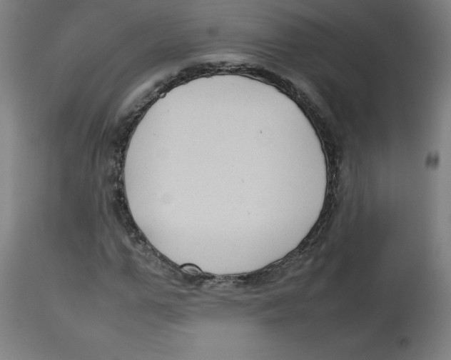 X0000112730967200909171123