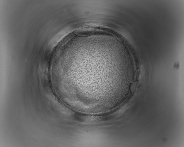 X0000112730969200909171123