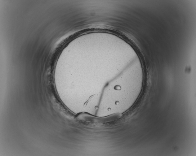 X0000112730971200909171123