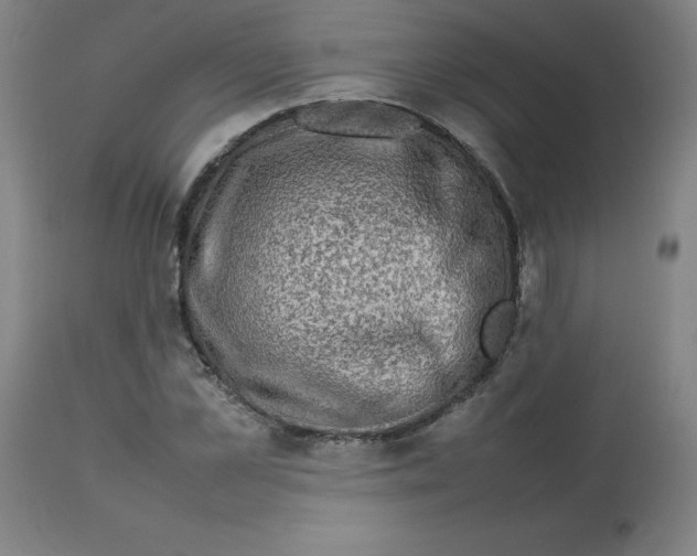 X0000112730973200909171123