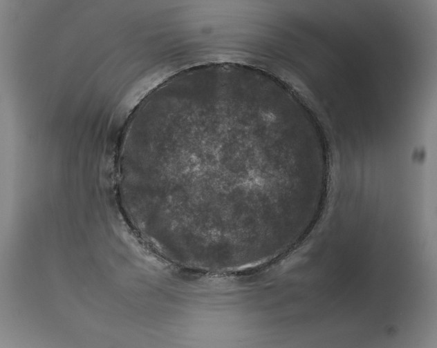 X0000112730977200909171123