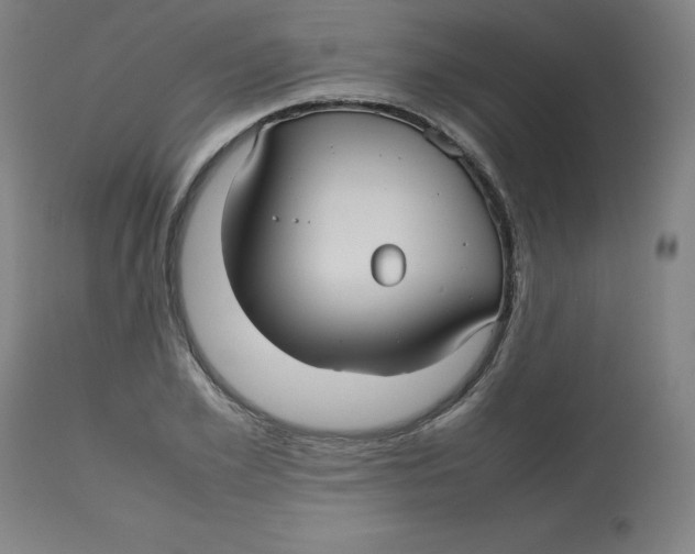 X0000112730981200909171123