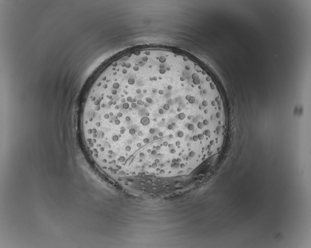 X0000112730983200909171123