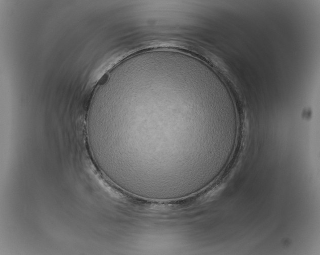 X0000112730985200909171123