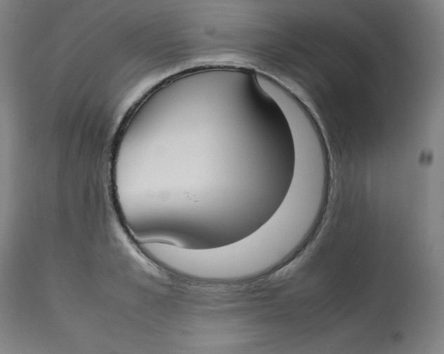 X0000112730989200909171123
