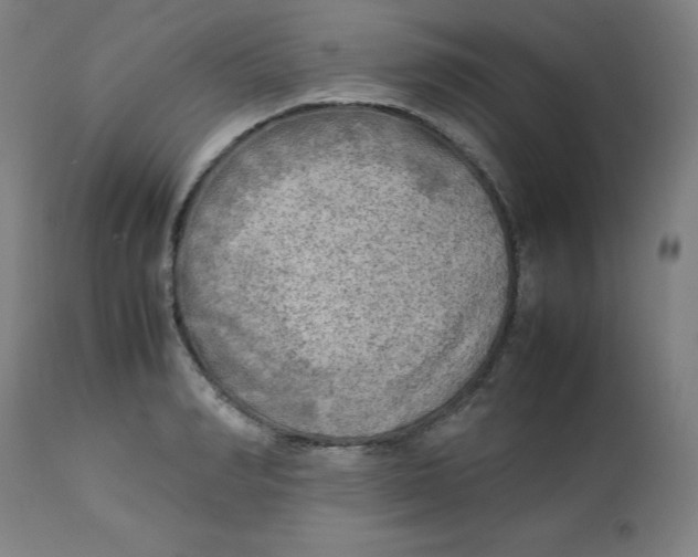 X0000112730990200909171123