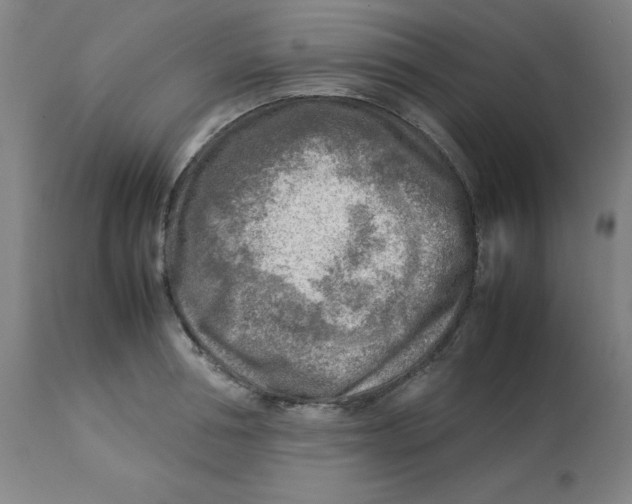 X0000112730994200909171123