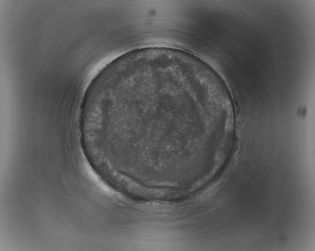 X0000112730995200909171123