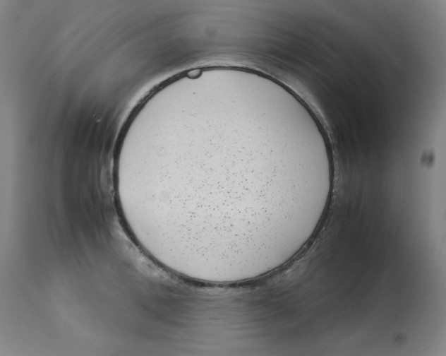X0000112730996200909171123