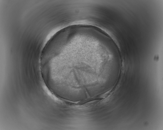X0000112730998200909171123