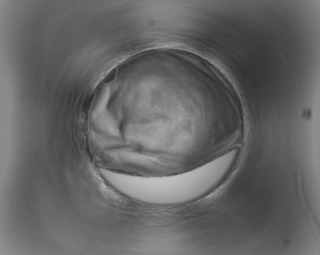 X0000112731001200909171123