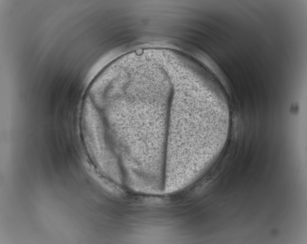 X0000112731002200909171123